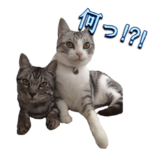 Milk Coffee sticker #15058676