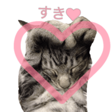 Milk Coffee sticker #15058680