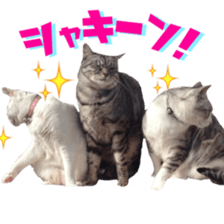 Milk Coffee sticker #15058682