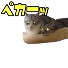 Milk Coffee sticker #15058683