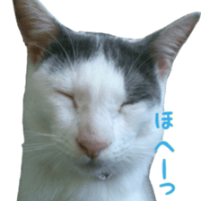 Milk Coffee sticker #15058684