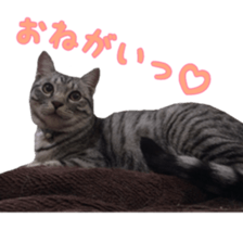 Milk Coffee sticker #15058686