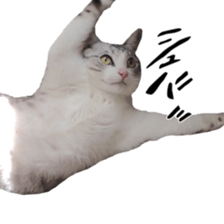 Milk Coffee sticker #15058689