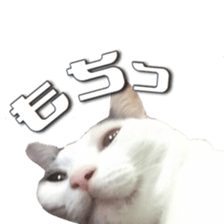 Milk Coffee sticker #15058690