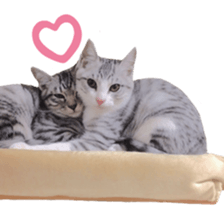 Milk Coffee sticker #15058692