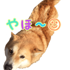 Milk Coffee sticker #15058693