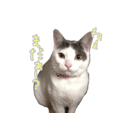 Milk Coffee sticker #15058696