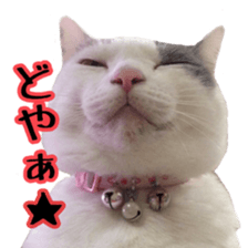 Milk Coffee sticker #15058699