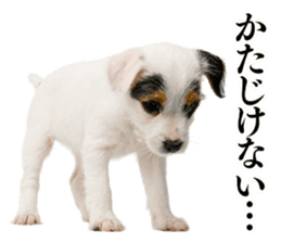 Dog Photo Stickers 02 sticker #15059224