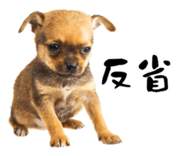 Dog Photo Stickers 02 sticker #15059231