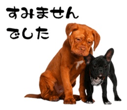 Dog Photo Stickers 02 sticker #15059233