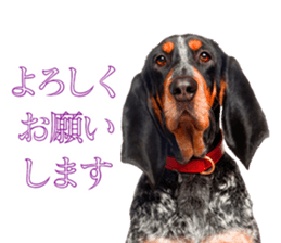 Dog Photo Stickers 02 sticker #15059241