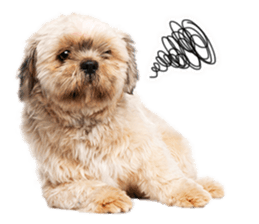Dog Photo Stickers 02 sticker #15059244