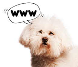 Dog Photo Stickers 02 sticker #15059246