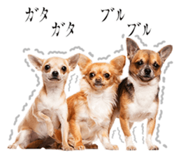 Dog Photo Stickers 02 sticker #15059250