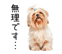 Dog Photo Stickers 02 sticker #15059258
