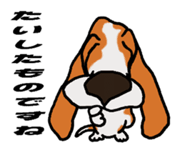 Basset hound 12(dog) sticker #15061150