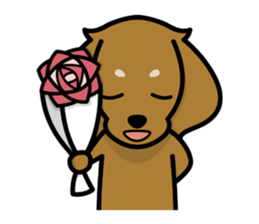 Dachs shop2 sticker #15061210