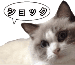Love cat, that name is Daifuku sticker #15061478