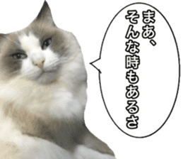 Love cat, that name is Daifuku sticker #15061480