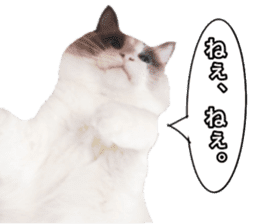 Love cat, that name is Daifuku sticker #15061482