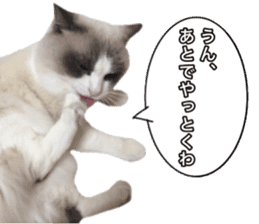 Love cat, that name is Daifuku sticker #15061490