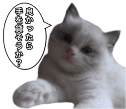 Love cat, that name is Daifuku sticker #15061495