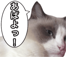 Love cat, that name is Daifuku sticker #15061504