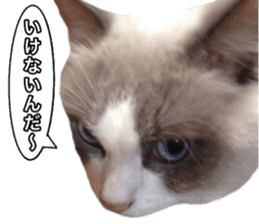 Love cat, that name is Daifuku sticker #15061506
