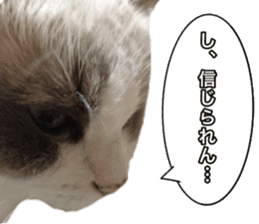 Love cat, that name is Daifuku sticker #15061507