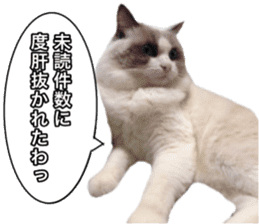 Love cat, that name is Daifuku sticker #15061509