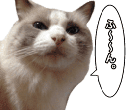 Love cat, that name is Daifuku sticker #15061514