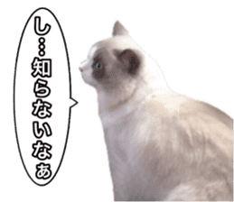 Love cat, that name is Daifuku sticker #15061515