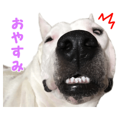 Ruby & lovely friends