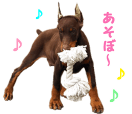 Ruby & lovely friends sticker #15061556