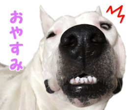 Ruby & lovely friends sticker #15061559