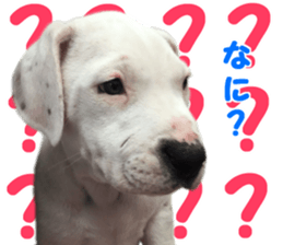 Ruby & lovely friends sticker #15061562