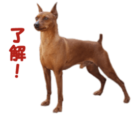 Ruby & lovely friends sticker #15061563