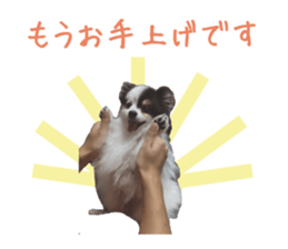 Pomeranian Masamune sticker #15063693