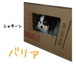 Pomeranian Masamune sticker #15063703