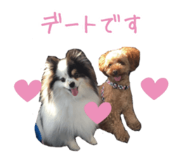 Pomeranian Masamune sticker #15063710