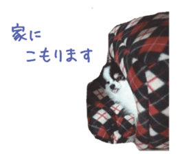 Pomeranian Masamune sticker #15063711