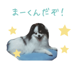 Pomeranian Masamune sticker #15063712