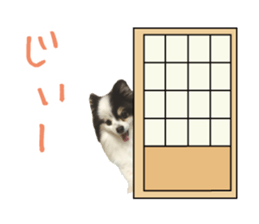 Pomeranian Masamune sticker #15063715
