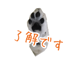 Pomeranian Masamune sticker #15063719