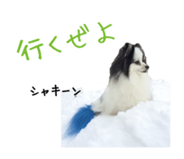 Pomeranian Masamune sticker #15063722