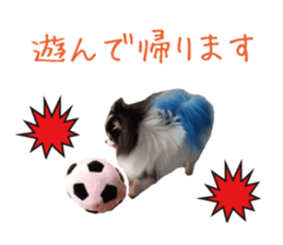 Pomeranian Masamune sticker #15063726