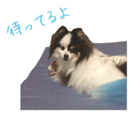Pomeranian Masamune sticker #15063731
