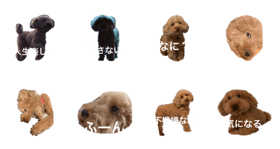 人面犬リズ Lineスタンプマニア クリエイターズスタンプ