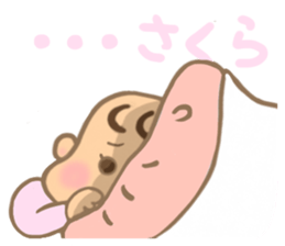 For SAKURA'S Sticker sticker #15064191